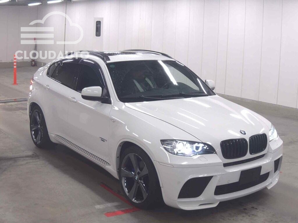 2009 BMW X6